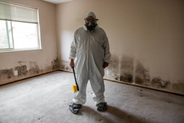 Best Mold Testing  in Hinckley, IL